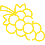 До 20 уникальных сортов винограда