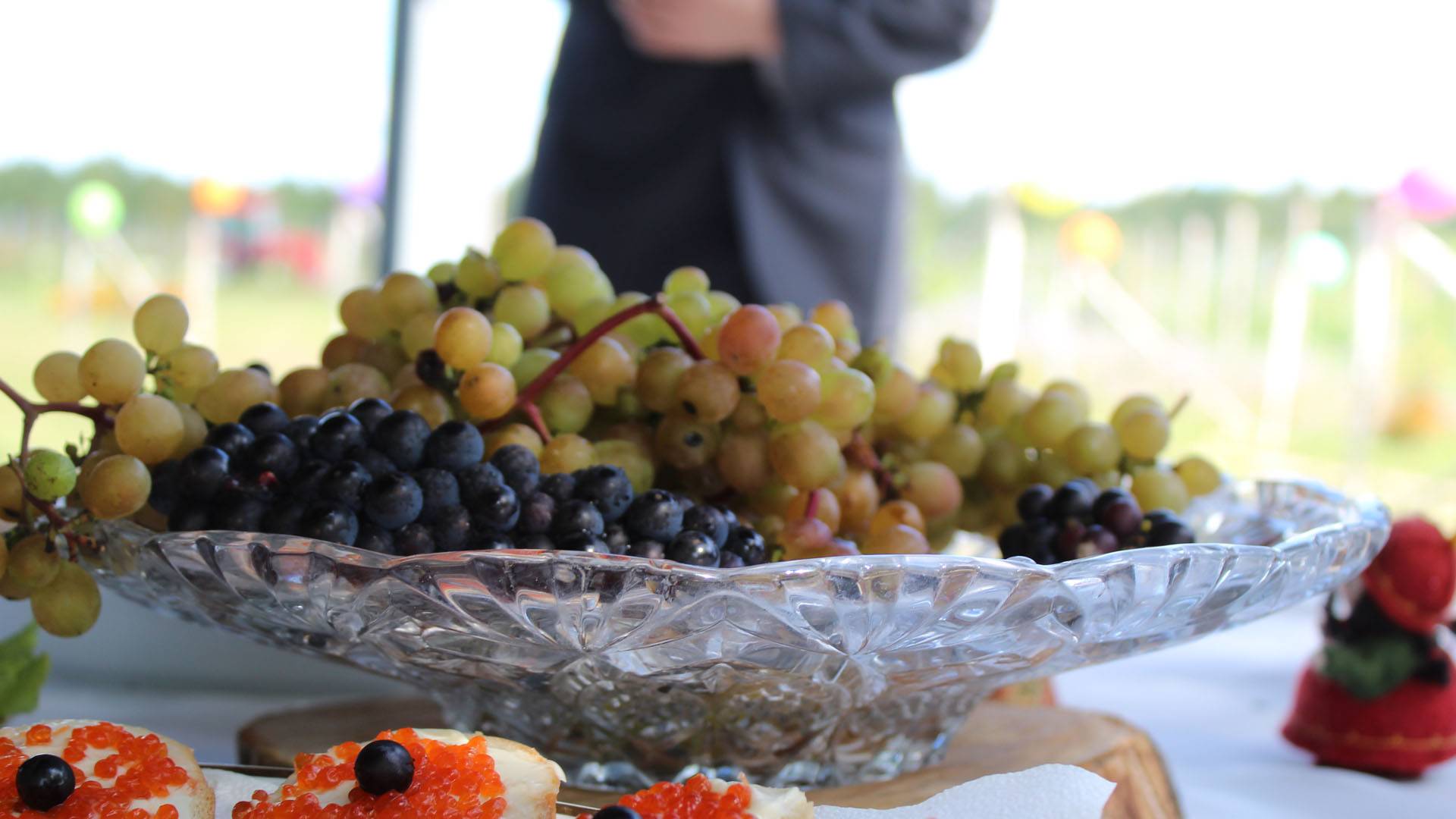 Винный туризм в России