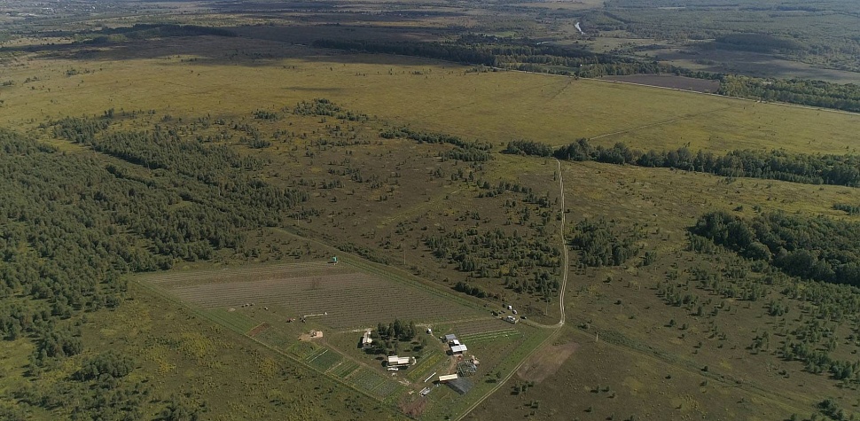 Виноградная усадьба – всего в 45км от Тулы.